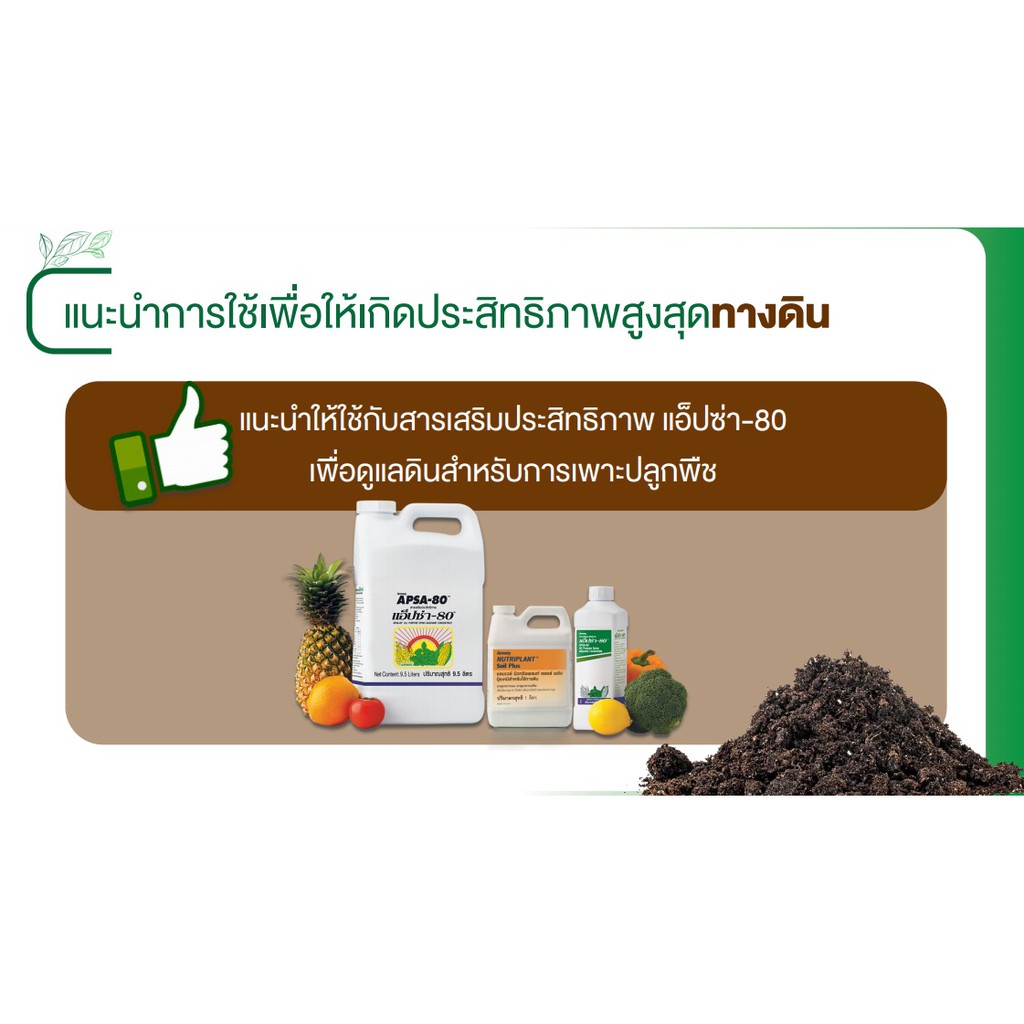 ของแท้-ฉลากไทย-แอ็ปซ่า-80-amway-สารเสริมประสิทธิภาพ-สารจับใบ-ขนาด-9-5-ลิตร