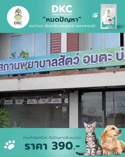 กระบะทรายแมว-ไม่พึ่งสารเคมี-ดีต่อสุภาพ-เรื่องกลิ่น-ไว้ใจเรา