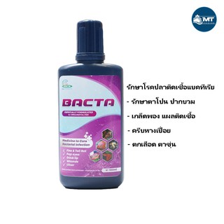 ภาพขนาดย่อของภาพหน้าปกสินค้าBacta 100 ml. (รักษาอาการติดเชื้อแบคทีเรีย ในปลาสวยงาม ปากบวม ตาโปน ครีบกร่อน ติดเชื้อ กักโรคปลา) จากร้าน mtt_trading บน Shopee