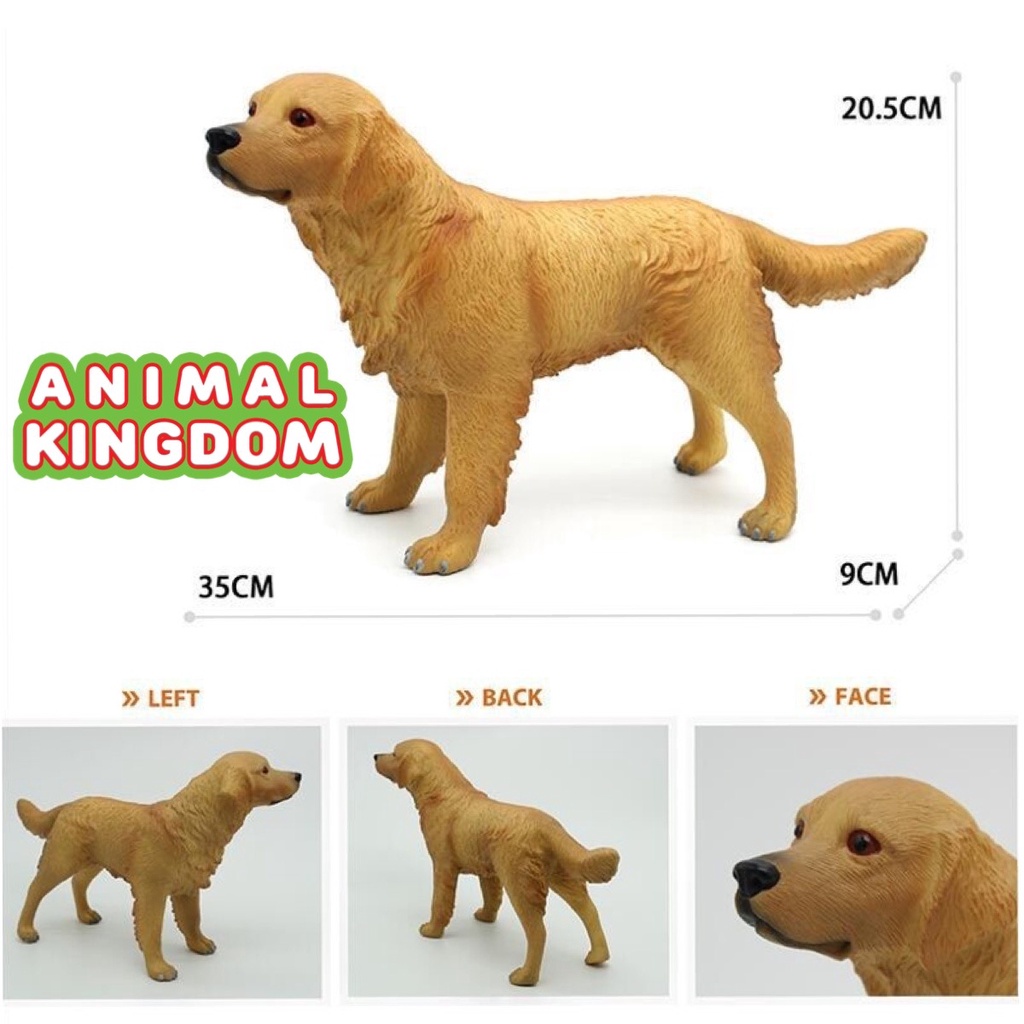 animal-kingdom-โมเดลสัตว์-สุนัข-หมาโกลเด้น-แบบนิ่ม-ขนาด-35-00-cm-จากหาดใหญ่