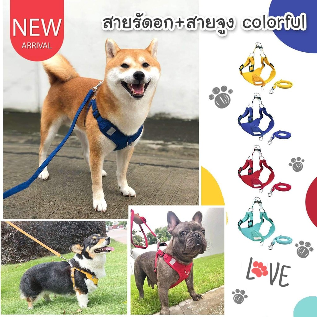 catholiday-สายรัดอกพร้อมสายจูง-colorful-สายจุงสุนัข-สายรัดอกสุนัข