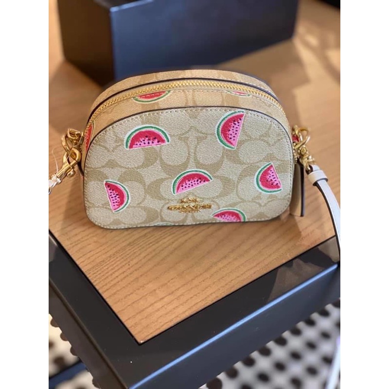 Coach Mini Serena Crossbody Watermelon Fruit 🍉 Print Purse Micro Bag NWT  $250