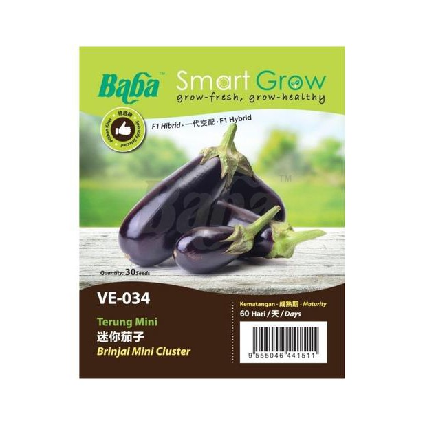 Baba Original Smart Grow leafy vegetable SEED Series VE001-VE039พืช ...