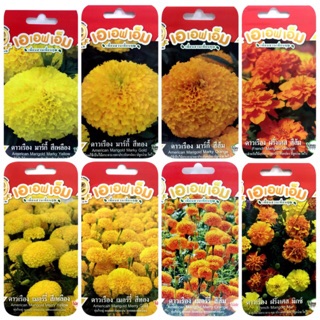ภาพหน้าปกสินค้าเมล็ดดอกดาวเรือง (Marigold) เมล็ดพันธุ์ดาวเรือง ที่เกี่ยวข้อง
