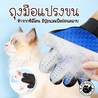 ภาพหน้าปกสินค้า🎁ถุงมือแปรงขน🎁 ถุงมือแปรงขนแมว ถุงมือแปรงขนสุนัข สัตว์เลี้ยง มือขวา+มือซ้าย ถุงมือแมว CLG1 ซึ่งคุณอาจชอบราคาและรีวิวของสินค้านี้
