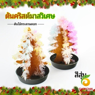 chokchaistore ต้นคริสต์มาสวิเศษ ต้นไม้กระดาษดอก ของขวัญแสนสนุก  magical christmas tree