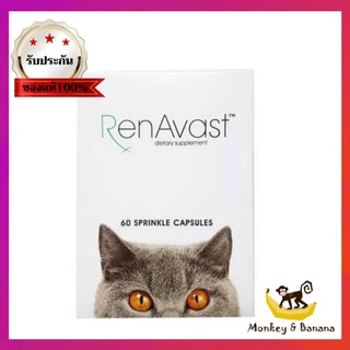 ภาพหน้าปกสินค้าRenavast for cat  อาหารเสริมโปรตีน บำรุงไต EXP3/2025 ซึ่งคุณอาจชอบราคาและรีวิวของสินค้านี้