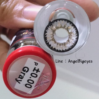 Nudy3Tone Gray นู้ดดี้ทรีโทน Nudy 3tone บิ๊กอาย โทนฝรั่ง สีเทา Pitchy คอนแทคเลนส์ Contact Lens Bigeyes ค่าสายตา โทนแบ๊ว