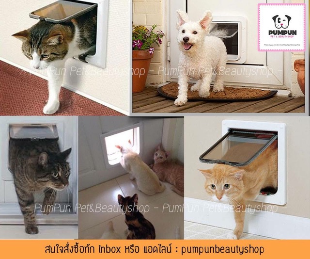 ประตูแมว-ประตูหมา-สำหรับสัตว์เลี้ยง-size-l