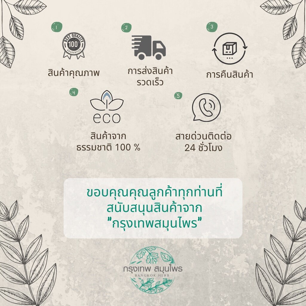 พลูคาวผง-1-กิโลกรัม-ผงพลูคาว-houttuynia-powder