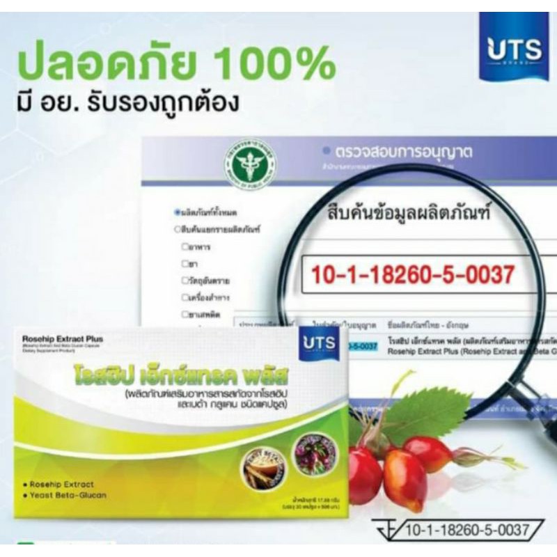 rosehip-extract-plus-สร้างภูมิคุ้มกันโรค-ชลอความแก่ชรา-ฟื้นฟูสมรรถภาพภายในร่างกาย