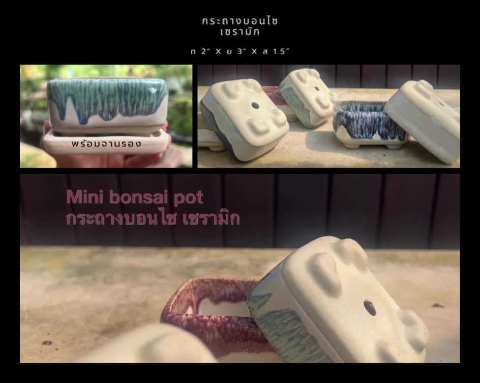 กระถางบอนไซ-เซรามิก-บอนไซจิ๋ว-ceramic-bonsai-pot