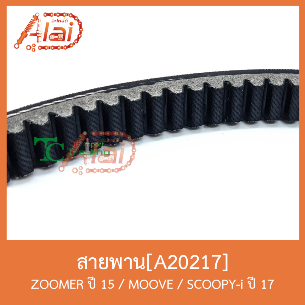 a20217-สายพาน-zoomer-ปี-15-moove-scoopy-i-ปี-17