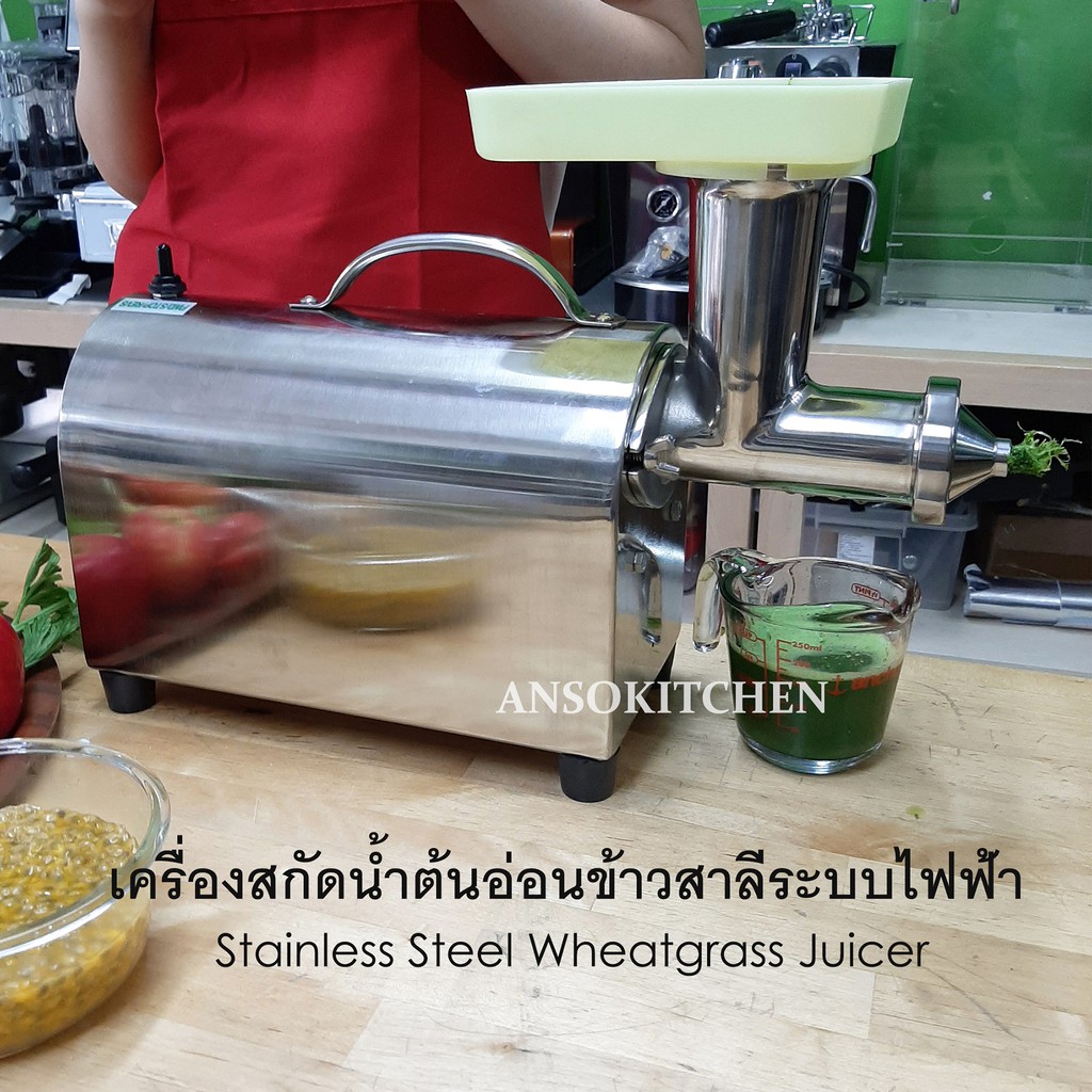 เครื่องคั้นสกัดนํ้าต้นอ่อนข้าวสาลี-ระบบไฟฟ้า-stainless-steel-wheatgrass-juicer-ใช้คั้นน้ำต้นอ่อนข้าวสี