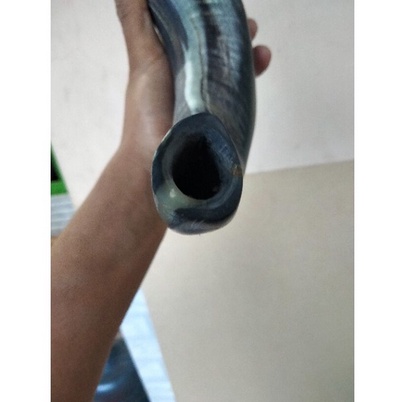 garut-sheep-horn-shofar-shofar-ของแท้-งานฝีมือ-สําหรับแกะ-เป่าง่าย-เพลงดี-ทรัมเป็ตแตรโชฟาร์