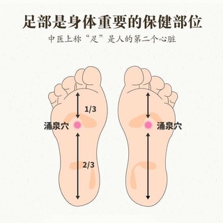 ภาพขนาดย่อของภาพหน้าปกสินค้า(แพ็ค 2 กล่องรวม 20 ชิ้น) สมุนไพรแปะฝ่าเท้า(แท้) คลายปวดเมื่อย แผ่นแปะฝ่าเท้า แผ่นแปะเท้า แผ่นแปะแก้ปวด แผ่นกดจุดฝ่าเท้า จากร้าน mameiow บน Shopee ภาพที่ 7
