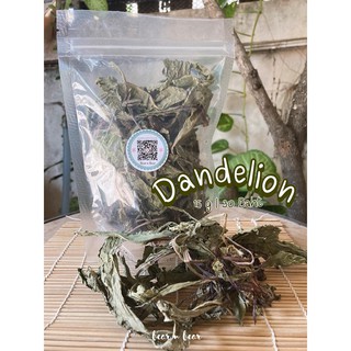 Dandelion | ต้นแดนดิไลออน  ขนมแฮมเตอร์ ชินชิล่า เดกู กระต่าย ดอร์เม้าส์ เจอร์บิล ดัมโบ้แรท