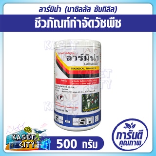 ลาร์มิน่า Larminar บาซิลลัส ซับทิลิส 500 g(Bacillus subtilis AP-01) สารชีวภาพ ป้องกันรักษาโรคพืช โรคดอกเน่า โรคกาบใบแห้ง