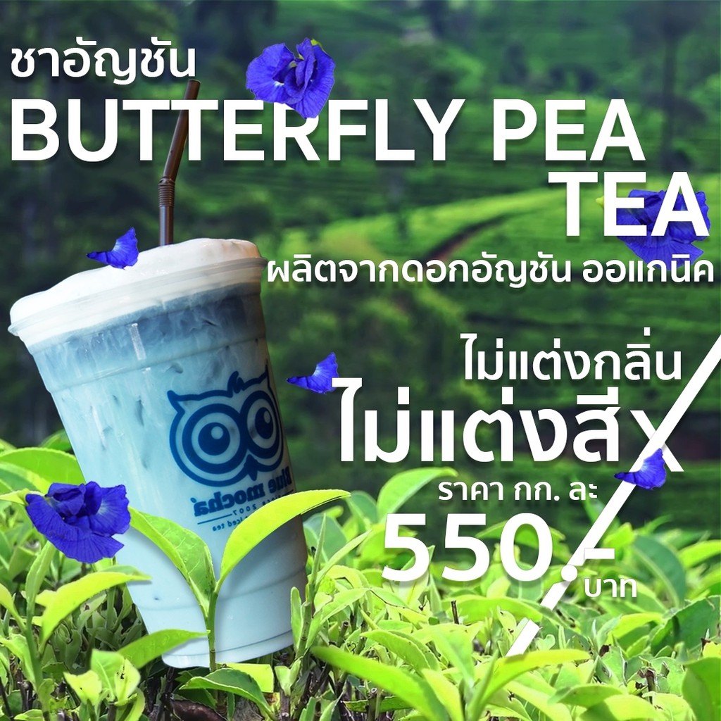 ชาอัญชัน-ขนาดบรรจุ-500-กรัม-ชา-กาเเฟ-butterfly-pea-tea-by-bluemocha