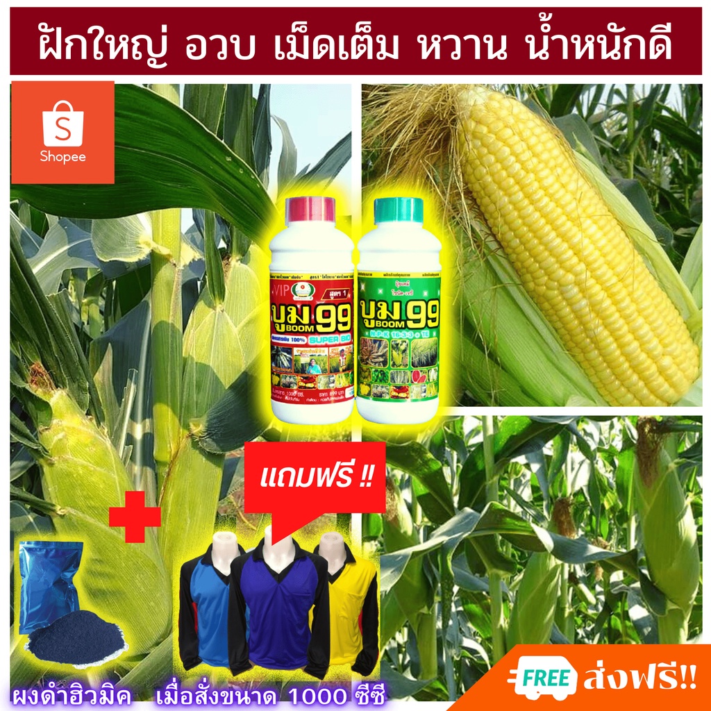 ส่งฟรีไม่ใช้โค๊ด-ปุ๋ยน้ำ-ปุ๋ยข้าวโพด-เร่งฝัก-สำหรับข้าวโพด-ฝักงาม-ฝักใหญ่-เม็ดสวย-ด้วย-บูม99