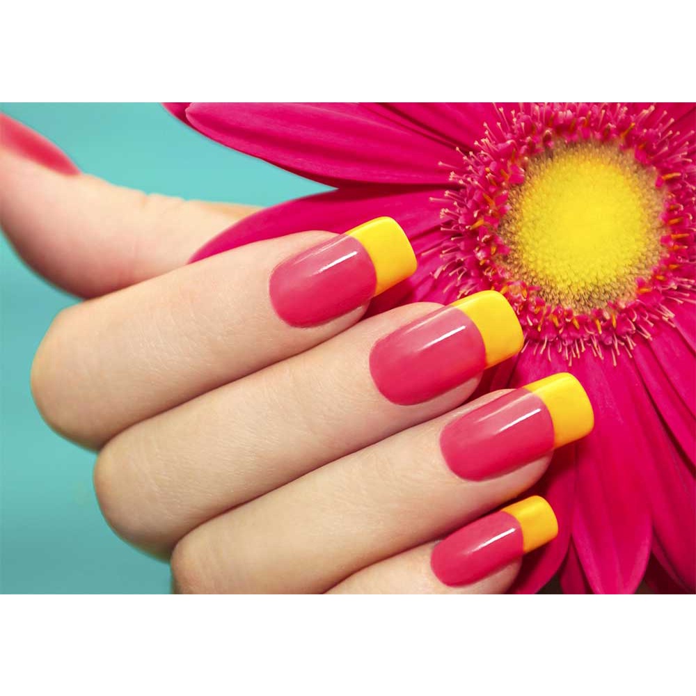 โปสเตอร์ภาพทำลายดอกเยอบีร่า ชมพูเหลือง Nails Care Beauty ขนาด A3