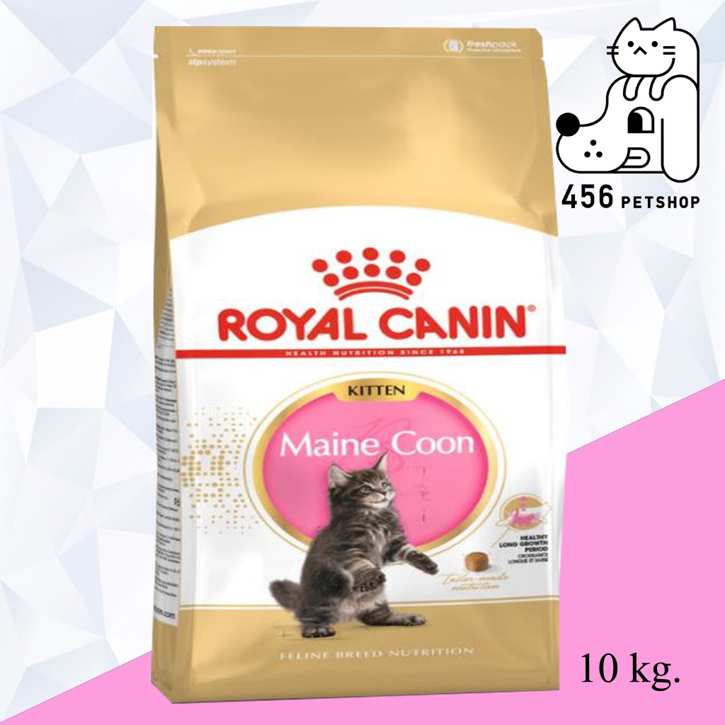 ex-10-2023-royal-canin-10kg-maine-coon-kitten-โรยัลคานิน-อาหารลูกแมวพันธุ์-เมน-คูน