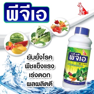 พีจีเอ (ขนาด 1 ลิตร) เสริมสร้างการเจริญเติบโตให้พืช