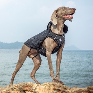 ชุดสุนัข ACHILLES Bomber Style K9 Jacket (TG-CFY03)