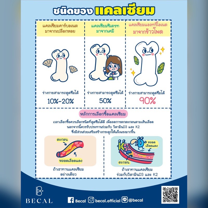 becal แคลเซียมบำรุงกระดูก และฟัน บีแคล BECAL + วิตามินดี3 วิตามินเค2 ...