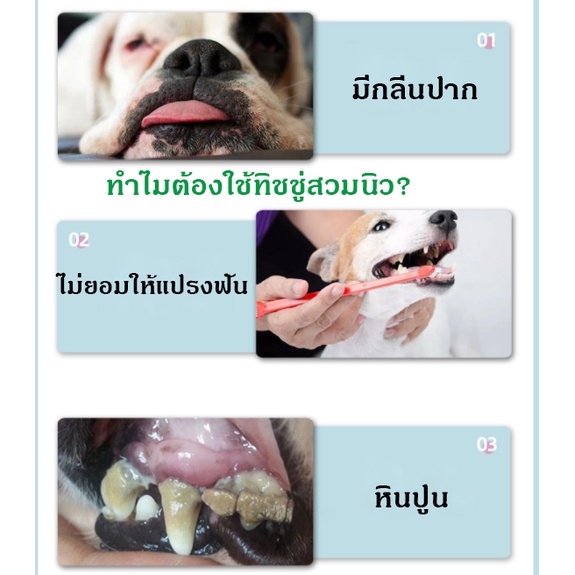 แผ่นเช็ดหินปูน-ทิชชู่เปียกกำจัดคราบหินปูนสัตว์เลี้ยง-ทิชชู่เปียกเช็คทำความสะอาดช่องปากสัตว์เลี้ยง-50แผ่น-กระปุก-พร้อมส่ง