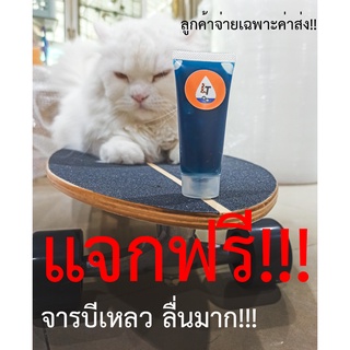 (สั่งหลายหลอด-)ลดโหด) จาระบีเอนกประสงค์(ลื่นมาก) LT เบอร์ 00 ใช้กับ surfskate skateboard จักรยาน จารบีเหลวทนความร้อน