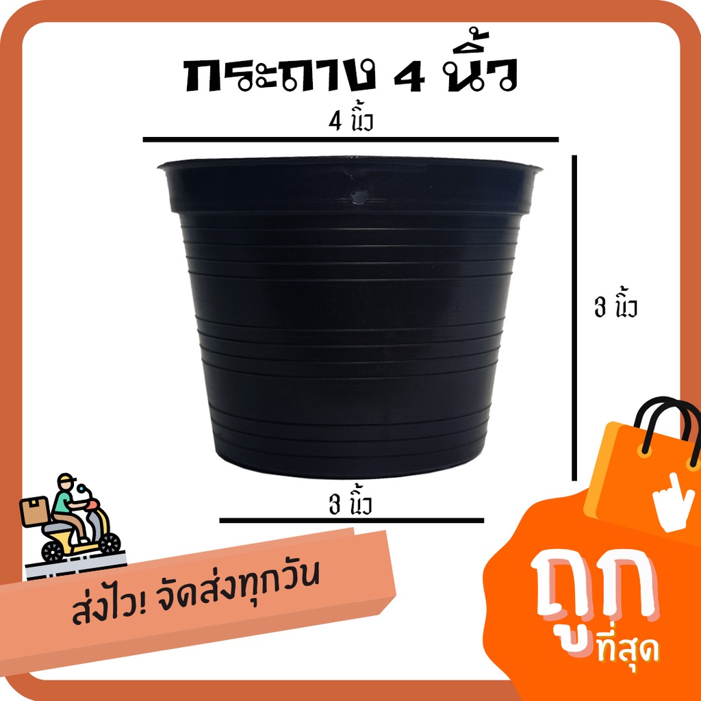 ภาพหน้าปกสินค้าเกษตรเงินล้าน กระถางกลมดำ 4นิ้ว อย่างดี พร้อมส่ง By.คิม เกษตรเงินล้าน จากร้าน kim_kasetngunrant999 บน Shopee