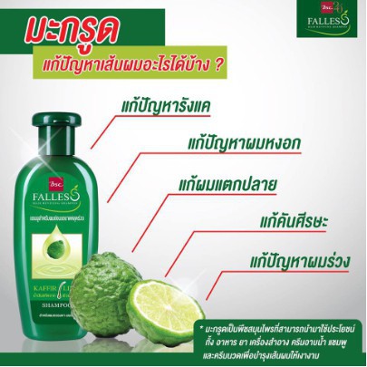 ภาพหน้าปกสินค้าFALLES แชมพู ฟอลเลส สูตรผมแข็งแรงสุขภาพดี 300ml. 1 ขวด เขียวเข้ม จากร้าน take_care_shop_220220 บน Shopee