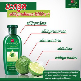 ภาพขนาดย่อของภาพหน้าปกสินค้าFALLES แชมพู ฟอลเลส สูตรผมแข็งแรงสุขภาพดี 300ml. 1 ขวด เขียวเข้ม จากร้าน take_care_shop_220220 บน Shopee