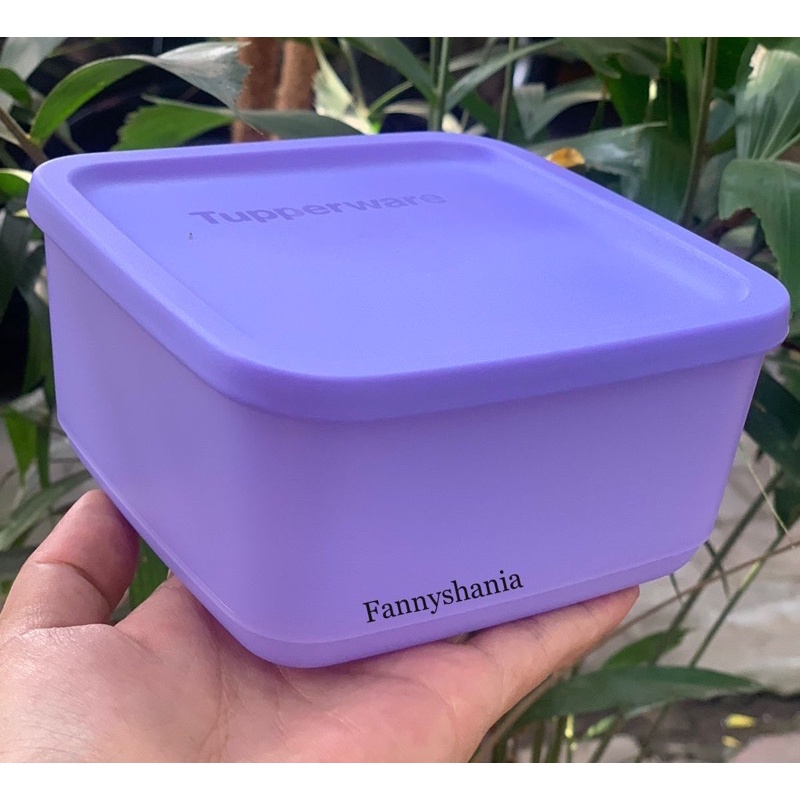 ส่งฟรี-tupperware-square-round-กล่องอาหารกลางวันทัปเปอร์แวร์-650-มล