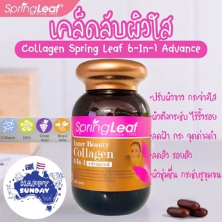 ภาพหน้าปกสินค้า✨คอลลาเจนสูตรนางงามออสเตรเลีย Spring Leaf Premium Inner Beauty Collagen 6-In-1 Advanced คอลลาเจนพรีเมียมจากออสเตรเลีย ที่เกี่ยวข้อง