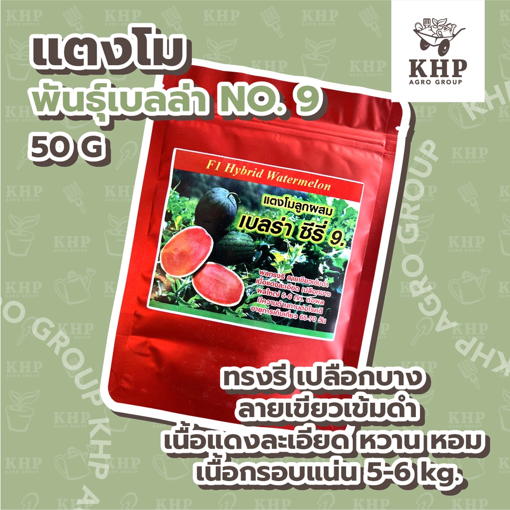 เมล็ดพันธุ์-แตงโม-เบลล่า-no-09-คัดพิเศษ-ไซส์กลาง-เนื้อแน่น-กลิ่นหอม-กรอบ-หวานฉ่ำ-f1-hybrid-ขนาด-50-กรัม