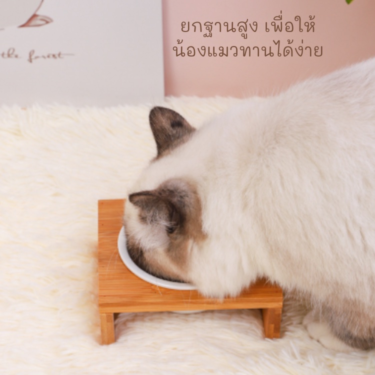 meaoparadise-ชามอาหารแมว-ฐานไม้รองชาม-1-2หลุม-ชามแมว-ถ้วยอาหารแมว-ที่ให้อาหารแมว-ชามข้าวแมว-หมา-สุนัข-ของเล่นแมวราคาส่ง
