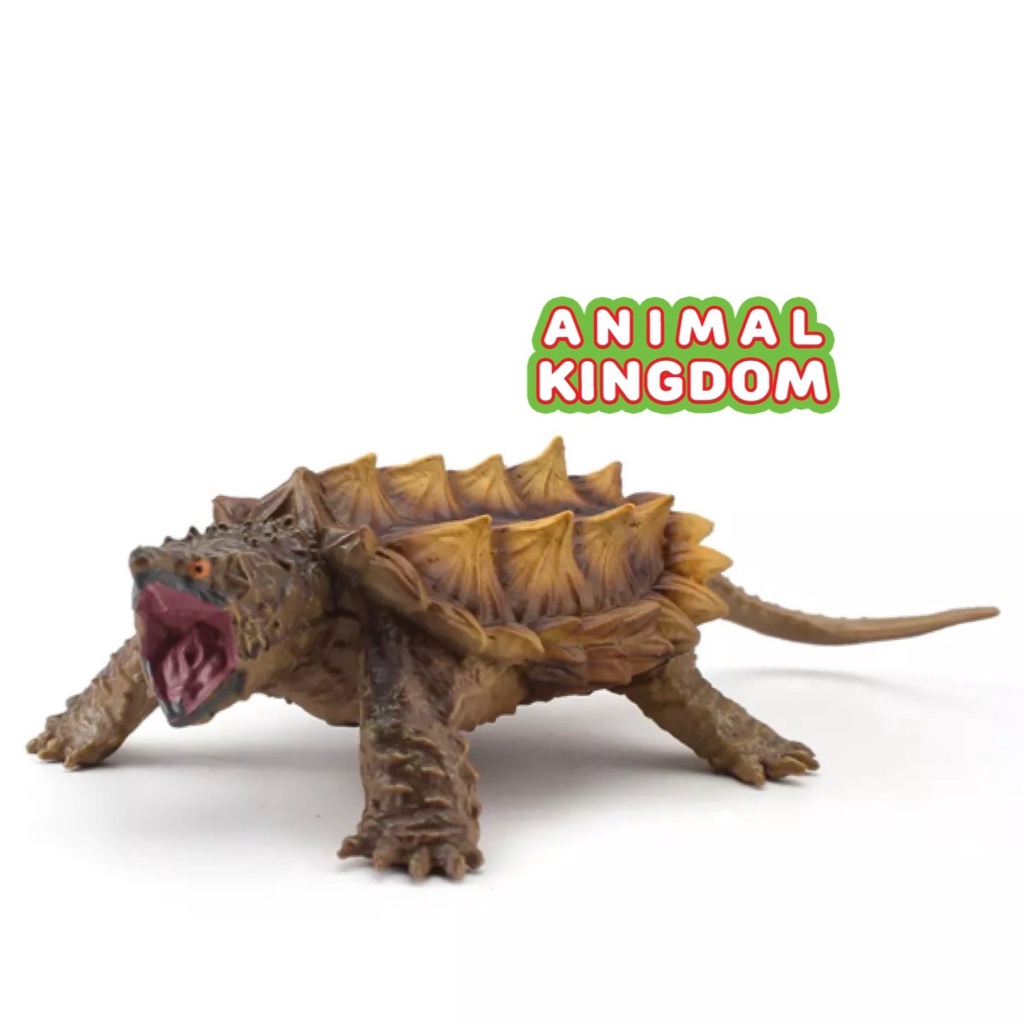 animal-kingdom-โมเดลสัตว์-เต่าอัลลิเกเตอร์-น้ำตาล-ขนาด-15-00-cm-จากสงขลา