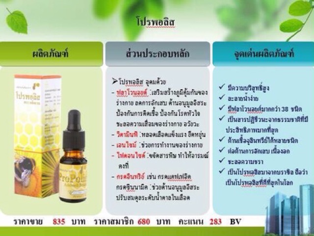 โปรพอลิส-propolis-ตราแอ็ดเวล