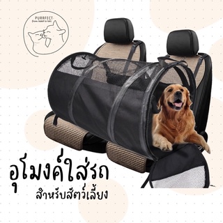 ภาพขนาดย่อของภาพหน้าปกสินค้าPurrfect อุโมงค์ใส่รถ อุโมงค์เดินทาง สำหรับสัตว์เลี้ยง หมา แมว  กระเป๋าเดินทาง ท่องเที่ยว ของสัตว์เลี้ยง กระเป๋าพับได้ จากร้าน purrfect_thailand บน Shopee