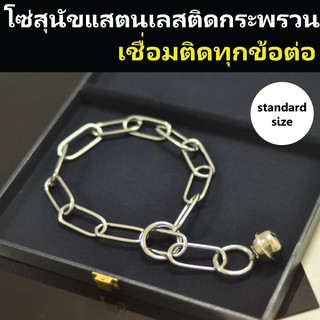 โซ่สุนัขสแตนเลส แข็งแรง เชื่อมติดกันทุกข้อ โซ่กระตุก ติดกระพรวนลูกโต  Stainless steel chains