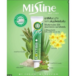 ยาสีฟันสมุนไพรสกัด เดนทิส 40 กรัม Mistine Herbal Extracted Toothpaste Dentiss