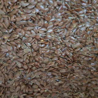 ลินซีด (Linseed) สำหรับนกปากขอขนาดเล็ก-กลาง กระรอก แฮมสเตอร์ (500 กรัม)