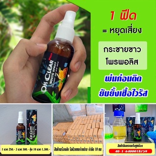 ภาพขนาดย่อของภาพหน้าปกสินค้าok clear OK Clear Plus Mouth Spray สเปรย์สารสกัดกระชายขาวและโพรโพลิส จากร้าน nancy.materialgroup บน Shopee ภาพที่ 1