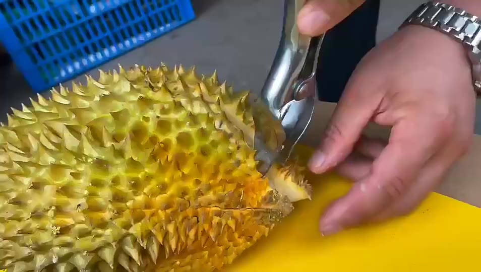 durian-opener-ที่เปิดเปลือกทุเรียน-มีดปอกทุเรียน-คีมพิเศษ-คลิปทุเรียน-เครื่องมือทุเรียน-ที่เปิดเปลือกผลไม้-ทุเรียน-สําหรับร้านขายของชํา-ร้านผลไม้-durian-opener-ที่เปิดเปลือกทุเรียน-มีดปอกทุเรียน-คีมพิ