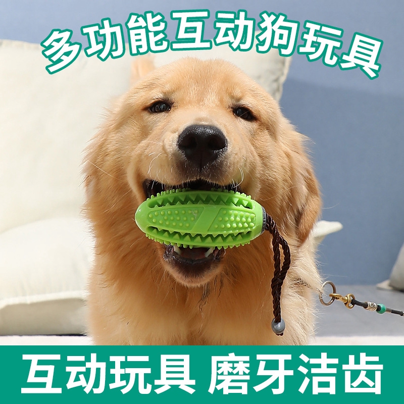 สัตว์เลี้ยงสุนัขแปรงสีฟันทำความสะอาดฟันกรามติดสุนัขเคี้ยวของเล่นการรั่วไหลของใช้บนโต๊ะอาหาร