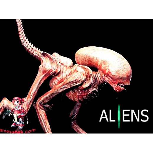 ALIEN 3 Dog Burster 1/1スケールモデルキット Movie Classics