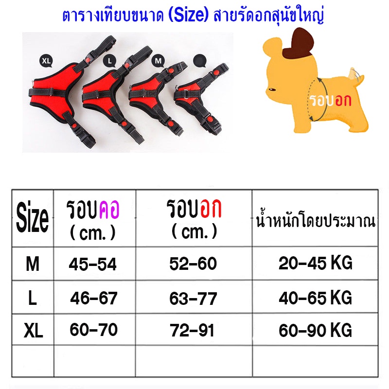 สายจูงสุนัขใหญ่-แบบรัดอก-สายรัดอก-สายจูง-ลาบราดอร์-โกลเด็น-บีเกิล-บางแก้ว-สุนัขตัวใหญ่-แข็งแรง-ทนทาน-ไม่หลุด-พร้อมส่ง