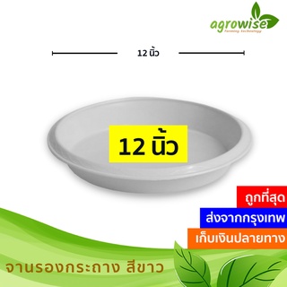 จานรองกระถาง
 จานรอง
 ถาดรองกระถางต้นไม้ สีขาว 12 นิ้ว